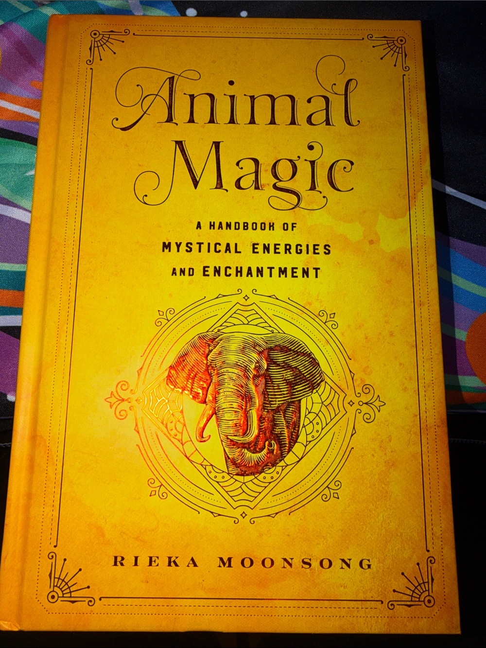 Animal Magic Hardcover Book by - Yellow Cover